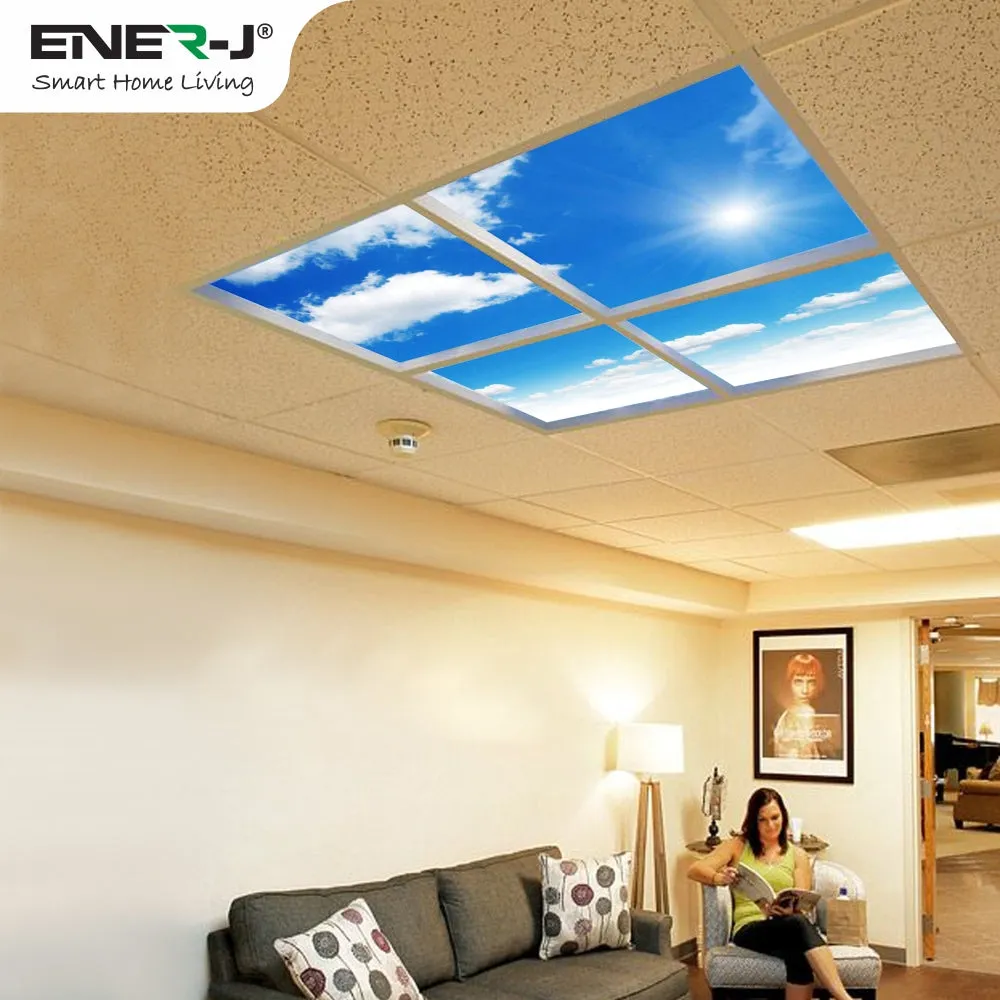 40W SKY LED 3D Ceiling Panel 60x60cms, Set of 4 Ultra Thin LED Panels, for Waiting Area, Hallway, Office and Home