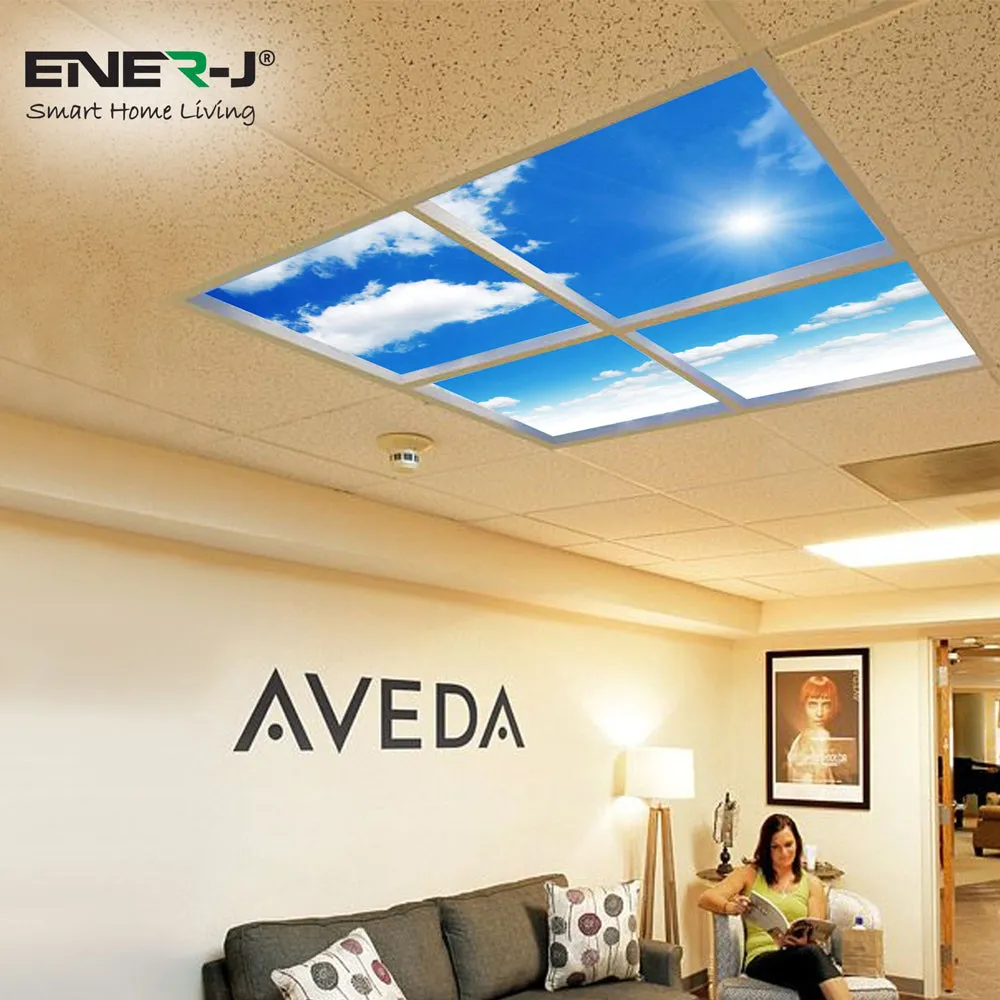 40W SKY LED 3D Ceiling Panel 60x60cms, Set of 4 Ultra Thin LED Panels, for Waiting Area, Hallway, Office and Home