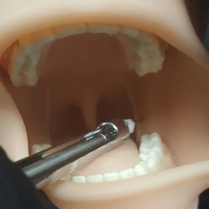 Oral Anesthesia Manikin with Sound Sensors Only